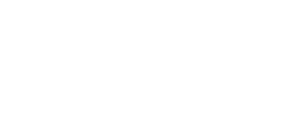 Logo Zara collaborateur